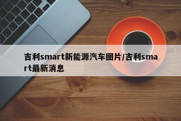 吉利smart新能源汽车图片/吉利smart最新消息